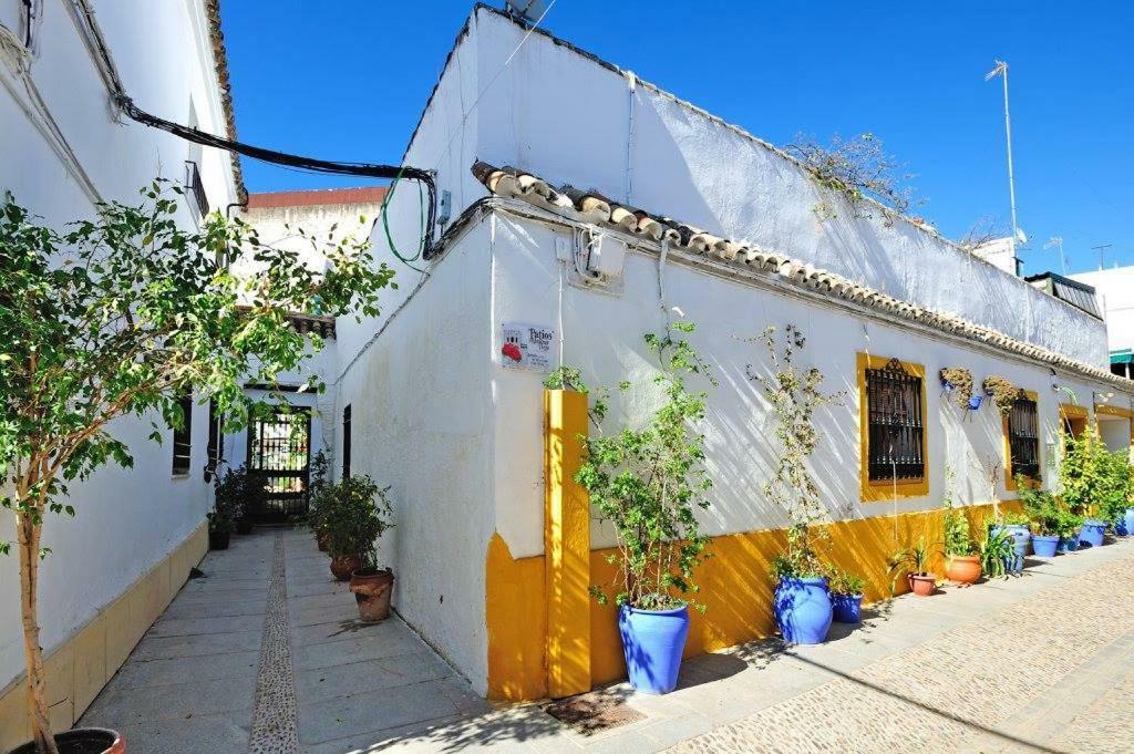 De Patios — Fotos 1