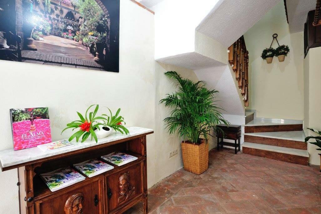 De Patios — Fotos 2